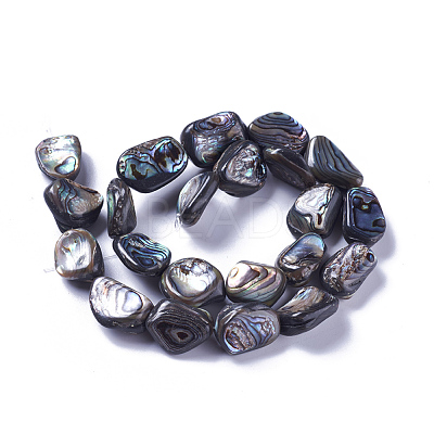 Natural Abalone Shell/Paua Shell Beads Strands SSHEL-F303-08A-1