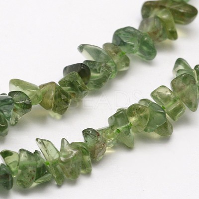 Chips Natural Green Apatite Beads Strands G-N0164-26-1
