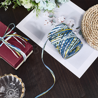 6 Colors Raffia Paper Cords OCOR-WH0063-110C-1