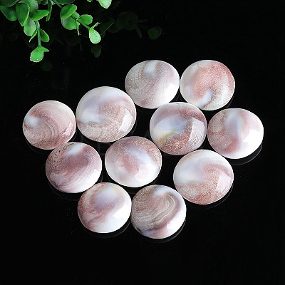 Natural Conch Shells Round Decorations PW-WG89460-01-1