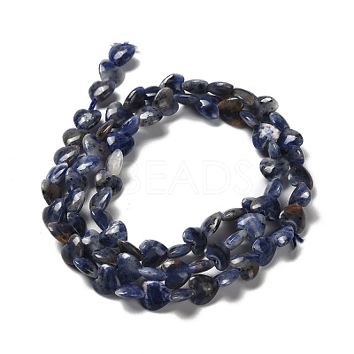 Natural Sodalite Beads Strands G-P575-C15-6mm-1