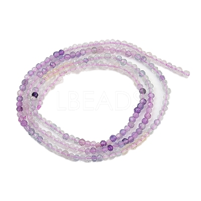 Natural Fluorite Beads Strands G-F789-01-2mm-1