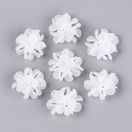 Frosted Transparent Acrylic Cabochons AC-N177-01A-01-1
