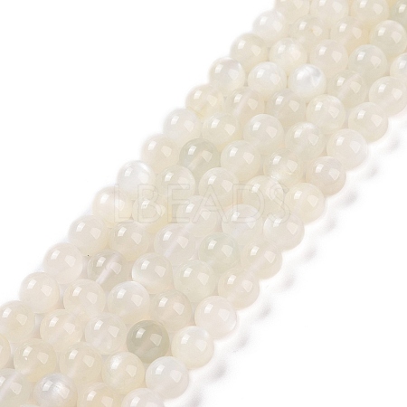 Natural White Moonstone Beads Strands G-F306-05AB-8mm-1