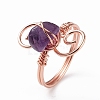 Natural Amethyst Chips with Vortex Finger Ring RJEW-L082-02RG-04-2