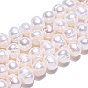 Natural Cultured Freshwater Pearl Beads Strands PEAR-N013-05K-5
