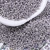 MIYUKI Delica Beads X-SEED-J020-DB0429-1