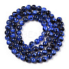 Drawbench Style Dyed Natural Freshwater Shell Beads Strands SHEL-T019-01G-3