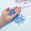 6/0 Glass Seed Beads SEED-YW0001-25I-7