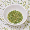 MIYUKI Delica Beads SEED-X0054-DB0983-2