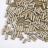 Electroplate Glass Bugle Beads SEED-S029-02A-01-2