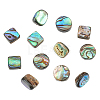 12pcs 3 styles Natural Abalone Shell/Paua Shell Beads Strands SHEL-WR0001-03-1