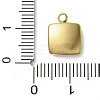 304 Stainless Steel Acrylic Pendants STAS-M091-02D-G-3