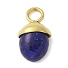 Dyed Natural Lapis Lazuli Pendants STAS-L277-07G-06-1