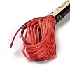 10 Skeins 6-Ply Polyester Embroidery Floss OCOR-K006-A37-2