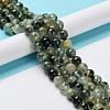 Natural Prehnite Beads Strands G-P322-48-10mm-01-5