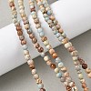 Dyed Natural Regalite/Imperial Jasper/Sea Sediment Jasper Beads Strands G-B124-C05-04-5