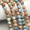 Natural Imperial Jasper Beads Strands G-I122-8mm-13-6