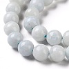 Natural Celestite/Celestine Beads Strands G-M414-A01-02-3