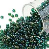 TOHO Round Seed Beads SEED-TR08-0179-1