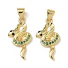 Brass Micro Pave Cubic Zirconia Pendants KK-L243-29G-06-1