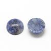 Natural Blue Spot Jasper Cabochons G-R416-16mm-45-2