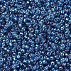 MIYUKI Round Rocailles Beads SEED-X0054-RR1025-3