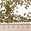 MIYUKI Round Rocailles Beads X-SEED-G008-RR4491-4