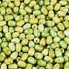 Picasso Glass Seed Beads SEED-N012-10I-3