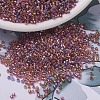 MIYUKI Delica Beads SEED-MY11-DB0982-1