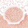 Opaque Glass Seed Beads SEED-N012-09A-09-2