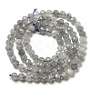 Faceted Round Natural Labradorite Bead Strands LS-G-I156-03-4mm-4