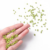 (Repacking Service Available) Glass Seed Beads SEED-C019-2mm-44-5