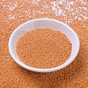 MIYUKI Round Rocailles Beads X-SEED-G007-RR0423-2