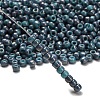 TOHO 6/0 Round Beads SEED-TR06-1206-2
