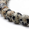 Natural Dalmatian Jasper Beads Strands G-S259-24-6mm-3