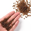 (Repacking Service Available) Glass Seed Beads SEED-C017-4mm-M13-4
