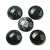 Natural Moss Agate Cabochons G-C115-02A-46-1