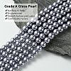 Eco-Friendly  Dyed Glass Pearl Round Beads Strands HY-A002-8mm-RB028-2