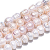 Natural Cultured Freshwater Pearl Beads Strands PEAR-N012-10E-3