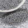 MIYUKI Round Rocailles Beads X-SEED-G009-RR0576-1