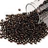 TOHO 8/0 Round Beads SEED-TR08-2205-1