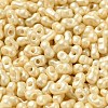 Baking Paint Glass Seed Beads SEED-K009-01A-03-3