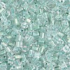 Transparent Inside Colours Glass Seed Beads SEED-T007-13N-2