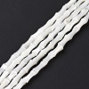 Natural Trochus Shell Beads Strands SSHEL-H070-04-3