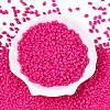 Baking Paint Glass Seed Beads SEED-T006-03R-1