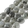 Natural Labradorite Beads Strands X-G-L164-A-34-1
