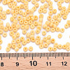 8/0 Opaque Glass Seed Beads SEED-S048-N-018-4