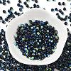 Glass Seed Beads SEED-H002-A-A620-2