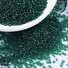 MIYUKI Round Rocailles Beads X-SEED-G007-RR0147-1